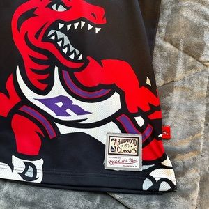 Mitchell & ness Toronto raptors jersey